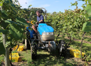 Harvest_Tractor.jpg